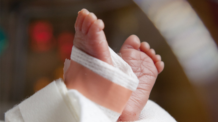 Photo of infant's feet in the NICU